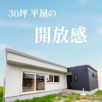 画像259