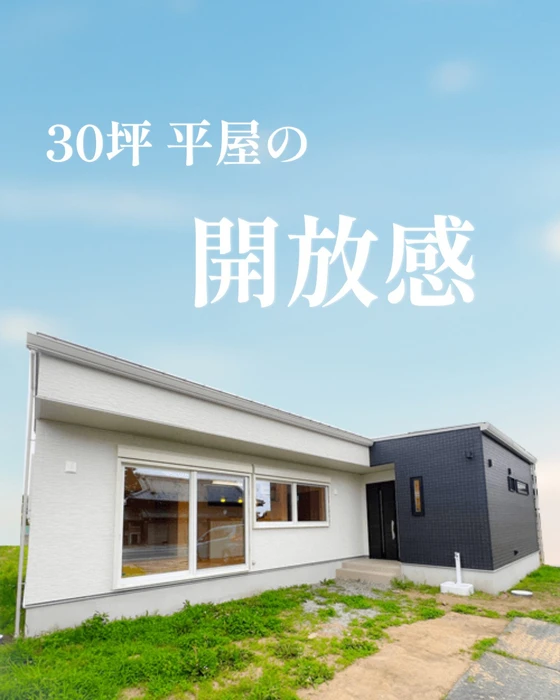 画像259