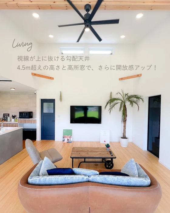 画像271