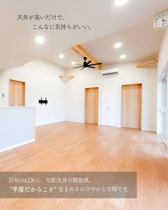 画像334